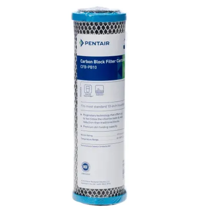 Pentair CFB-PB-10 0.5μm Carbon Filter
