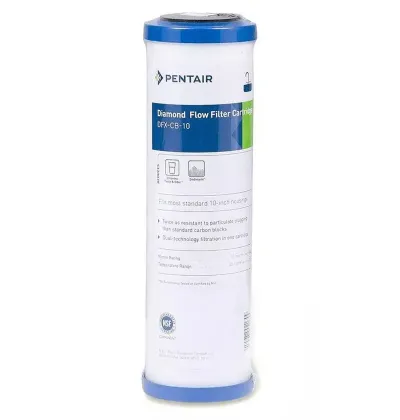 Pentair Pentek DFX-CB-10 10µm Carbon Filter